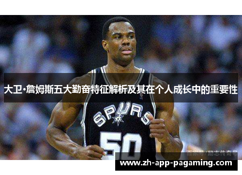大卫·詹姆斯五大勤奋特征解析及其在个人成长中的重要性