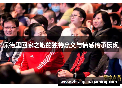 佩德里回家之旅的独特意义与情感传承展现 佩德里回家之旅的独特意义与情感传承展现