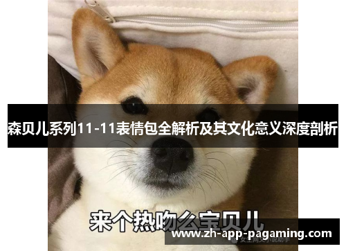 森贝儿系列11-11表情包全解析及其文化意义深度剖析