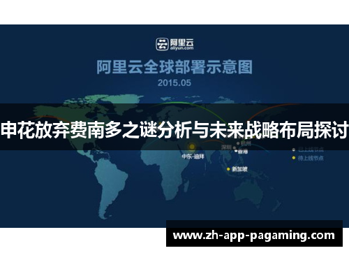 申花放弃费南多之谜分析与未来战略布局探讨