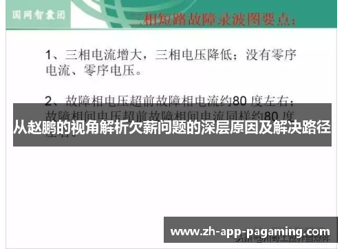 从赵鹏的视角解析欠薪问题的深层原因及解决路径 从赵鹏的视角解析欠薪问题的深层原因及解决路径