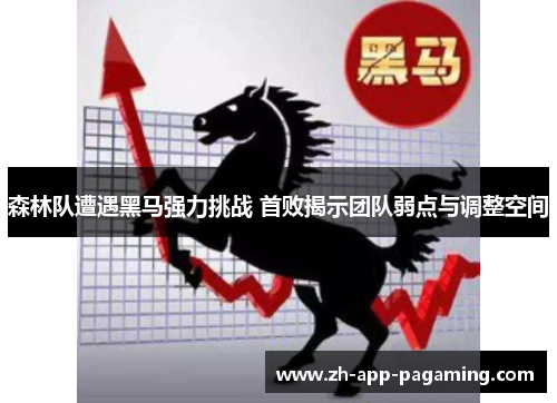 森林队遭遇黑马强力挑战 首败揭示团队弱点与调整空间 森林队遭遇黑马强力挑战 首败揭示团队弱点与调整空间