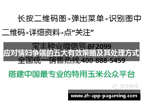 应对情妇争端的五大有效策略及其处理方式 应对情妇争端的五大有效策略及其处理方式