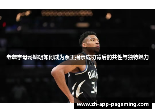 老詹字母哥姚明如何成为票王揭示成功背后的共性与独特魅力