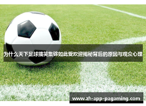 为什么天下足球搞笑集锦如此受欢迎揭秘背后的原因与观众心理 为什么天下足球搞笑集锦如此受欢迎揭秘背后的原因与观众心理