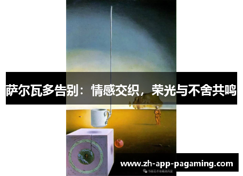 萨尔瓦多告别：情感交织，荣光与不舍共鸣