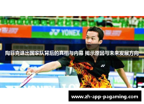 陶菲克退出国家队背后的真相与内幕 揭示原因与未来发展方向