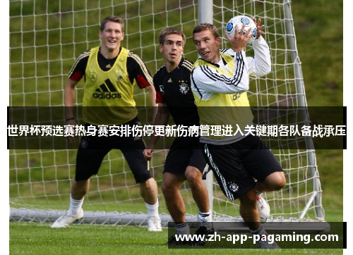 世界杯预选赛热身赛安排伤停更新伤病管理进入关键期各队备战承压 世界杯预选赛热身赛安排伤停更新伤病管理进入关键期各队备战承压