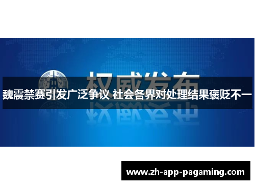 魏震禁赛引发广泛争议 社会各界对处理结果褒贬不一